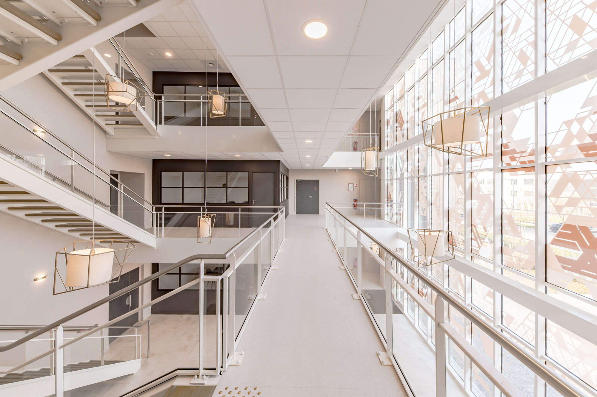 LEK - L'hémisphère