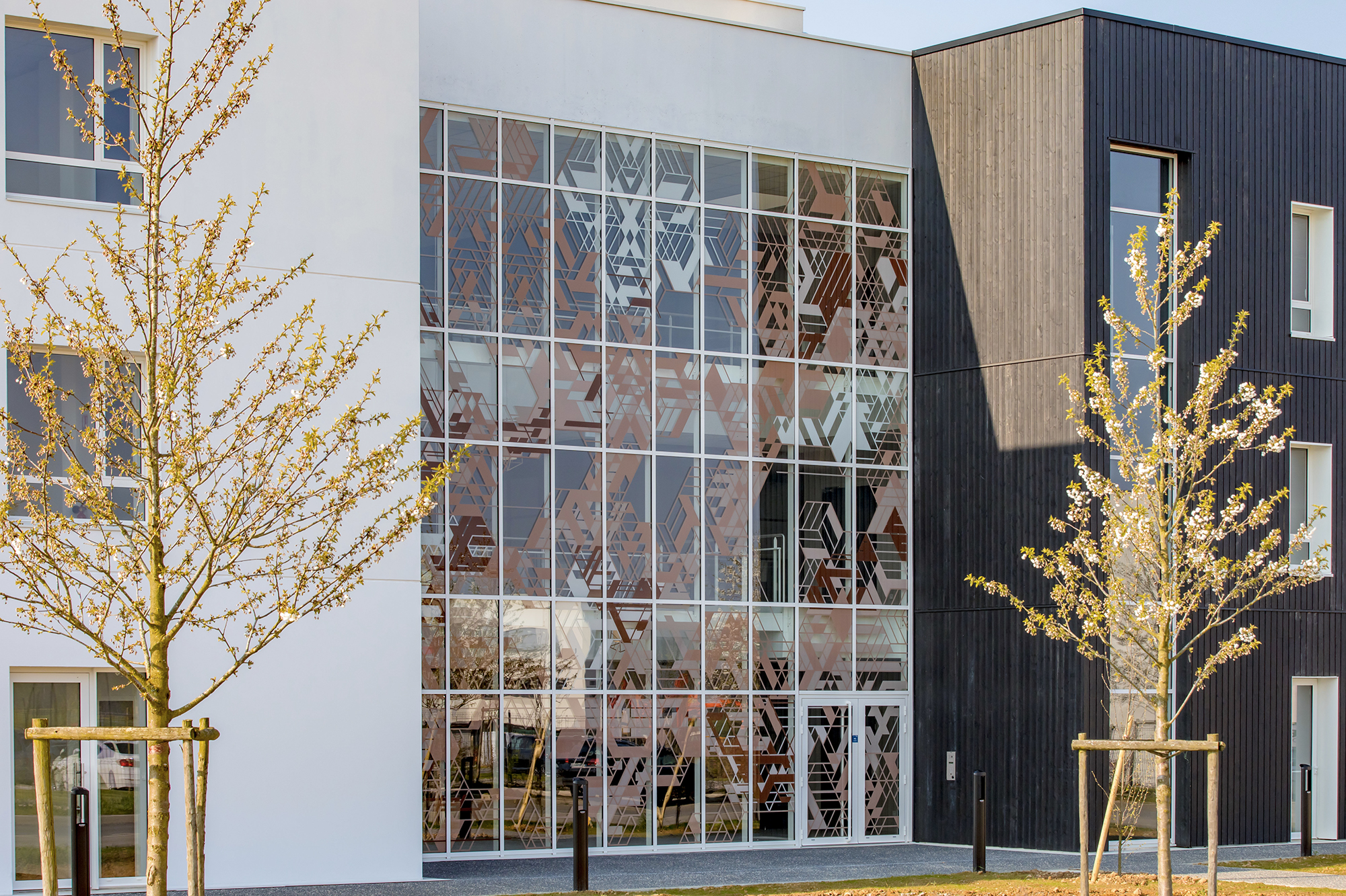 LEK - L'hémisphère